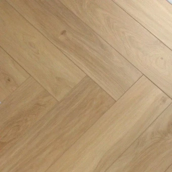 1616039 Дуб Альтаир