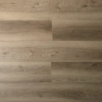 16164 Дуб Норфолк