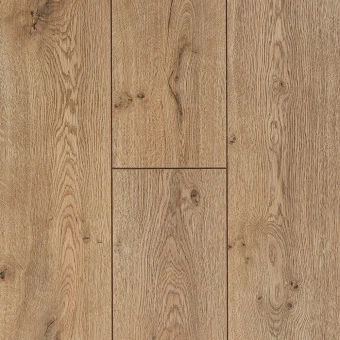 Дуб Раушен FP1102