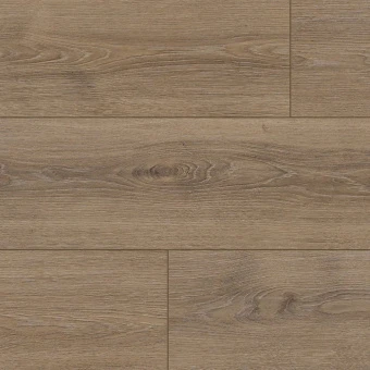 NC84 Дуб Тендес