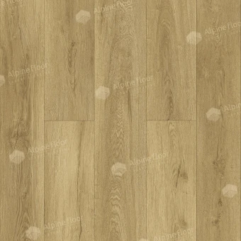 ЕСО 21-10 Фраменто