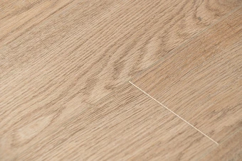 Дуб Стоктон