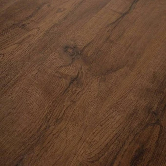 4209 Дуб Амбарный