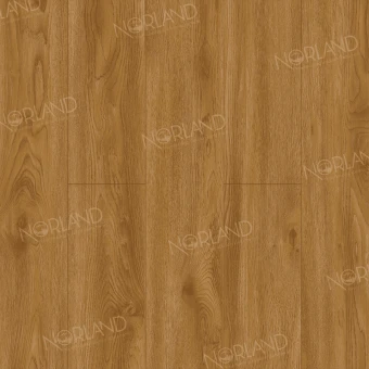 LF302-10 Дуб Хонсю