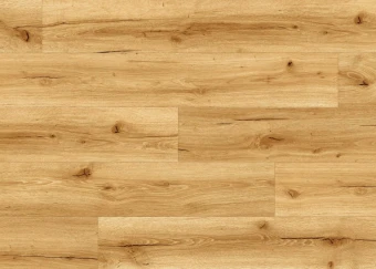 8304 Дуб Версаль