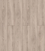 59877 Дуб Ченнаи