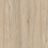 IM8467 Дуб Кедровый