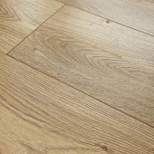 8335 Дуб Риман