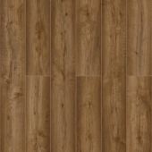 59757 Дуб Джайпур