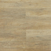 SU1209 Дуб Уинвуд