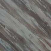 3304 Эвкалипт