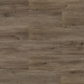 2206 Дуб арктический