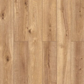 59897 Дуб Кавери