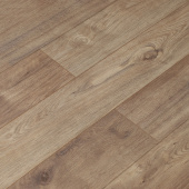 16146 Дуб Фигуардо