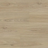 8016 Дуб Чарли