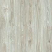 Дуб Муривай