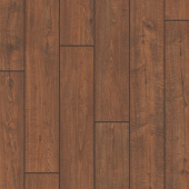  IMU1995 Дуб бордо