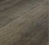 U1970 Дуб Дерби 