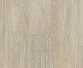 BLA002 Дуб горный светлый
