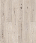 D50957 Дуб Мармион