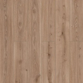 59857 Дуб Нармада