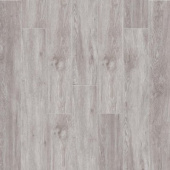 Дуб Огайо 2003