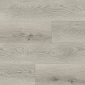 6411 Дуб Руми