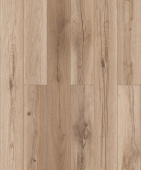 50787 Дуб Олссон