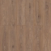 50757 Дуб Герберт