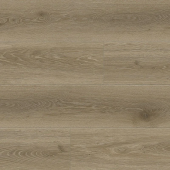   8388 Дуб Бертран