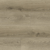 6406 Дуб Саундер