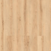 56219 Дуб Светлый