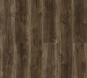 59777 Дуб Гомати