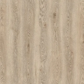 59747 Дуб Мумбаи