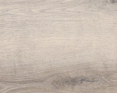 4017 Дуб Фолибер