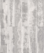 D50467 WG Риккарди