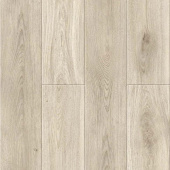 50867 Дуб Лаудер