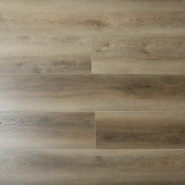 16162 Дуб Орвел