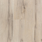 10 Дуб Скилл  