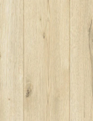 1191 Коста де Альмериа 