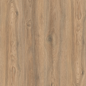 IMU 8466  Дуб Скалистый