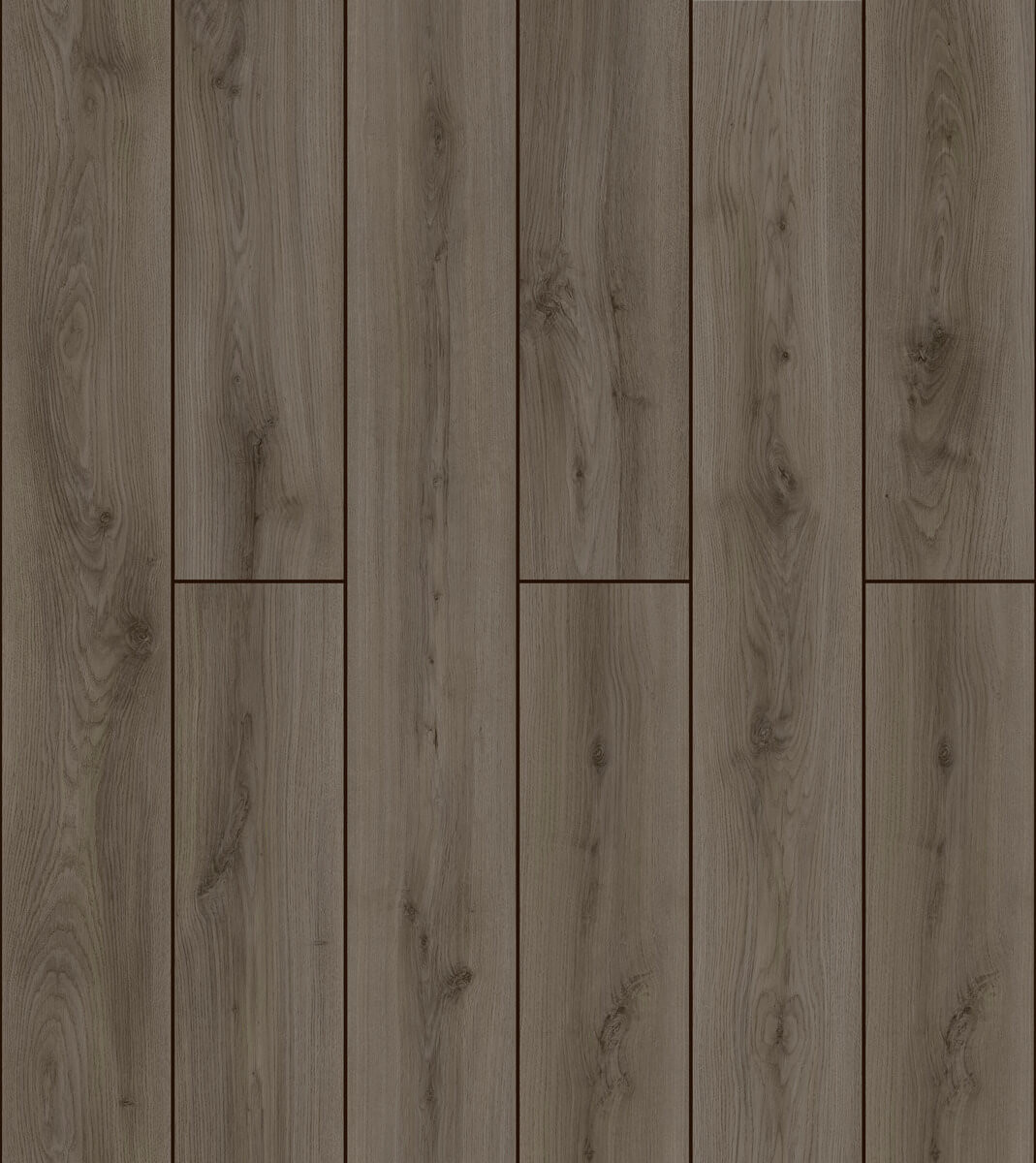 50727 Дуб Гермина