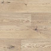 NC82 Дуб Хантер