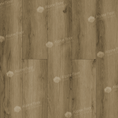 ECO 24-8 Дуб Эскейп