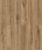D50547 AF Дуб Ронта