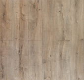 D51017 Дуб Ричардсон