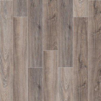 Дуб Вайоминг 2005