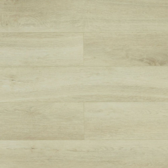 SU1207 Дуб Дафферин