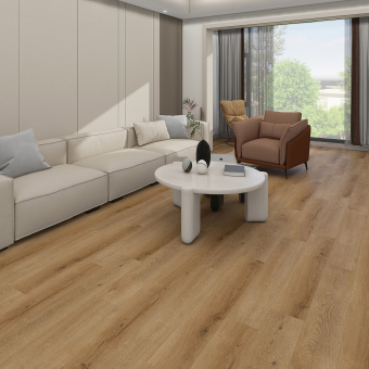 6406 Дуб Саундер