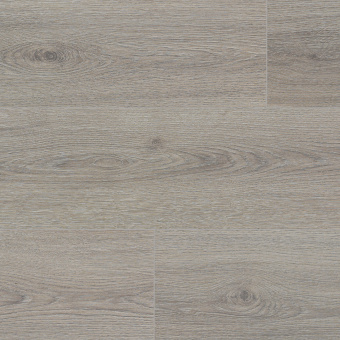 NC81 Дуб Вальфорд